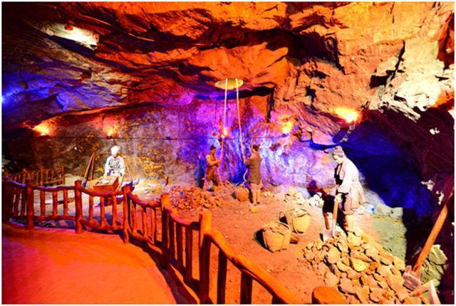 西藏有机富硒大米(富硒大米好还是有机大米好)-硒宝网