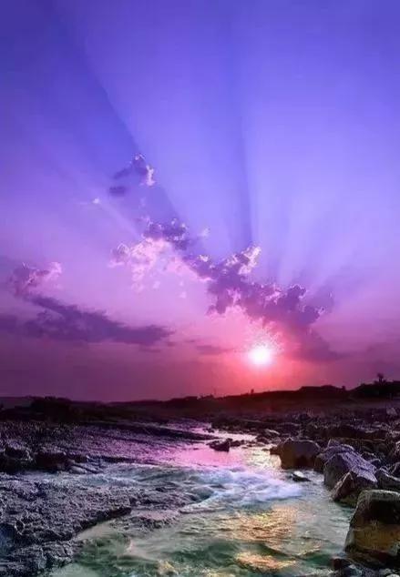 西藏有机富硒大米(富硒大米好还是有机大米好)-硒宝网