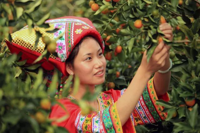 柳州富硒大米厂家(广西富硒米产地)-硒宝网