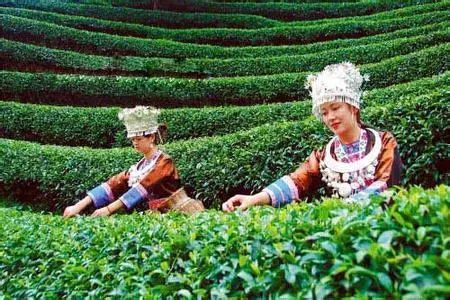 柳州富硒大米厂家(广西富硒米产地)-硒宝网