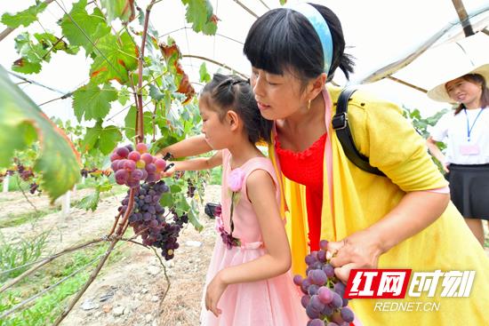 富硒高山大米种植(富硒大米种植成本)-硒宝网