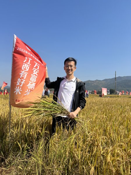 江西吉安富硒大米(高安富硒大米)-硒宝网