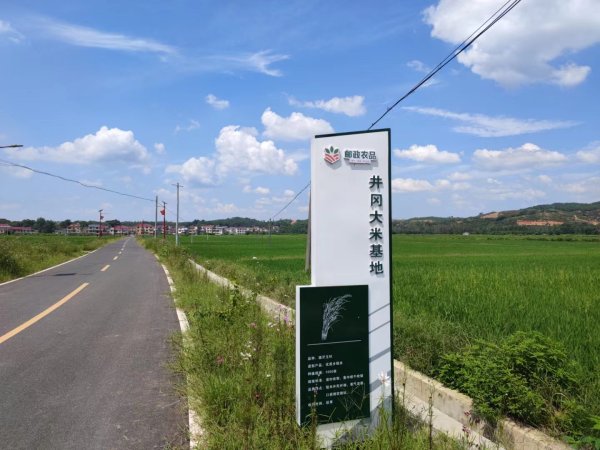 江西吉安富硒大米(高安富硒大米)-硒宝网