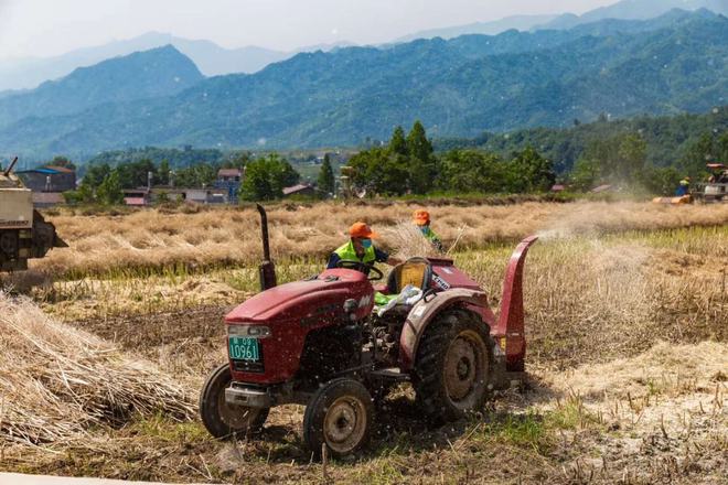 汉阴秦康富硒大米（汉中富硒大米）-硒宝网