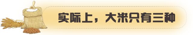 富硒大米该怎么淘(富硒大米怎样)-硒宝网