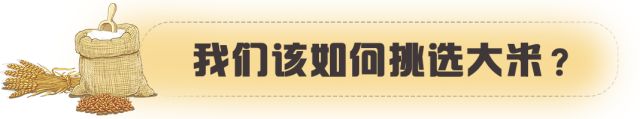 富硒大米该怎么淘(富硒大米怎样)-硒宝网