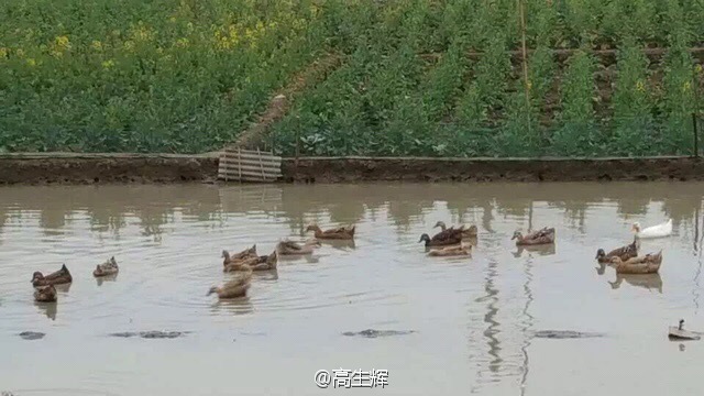 陕西南郑富硒大米(富硒大米基地)-硒宝网