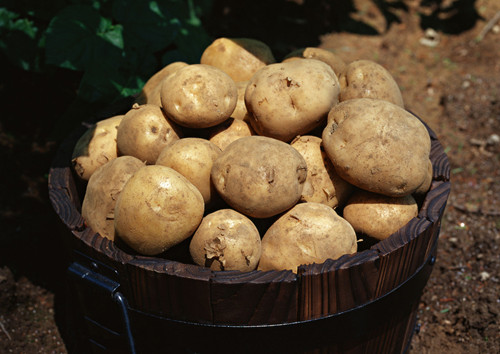 富硒大米是单糖吗（富硒大米含糖多少）-硒宝网