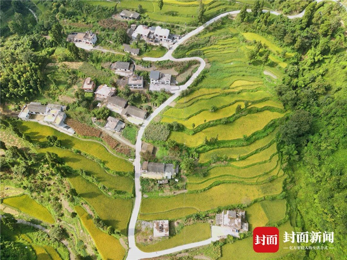 富硒大米种源来源(富硒大米种植)-硒宝网