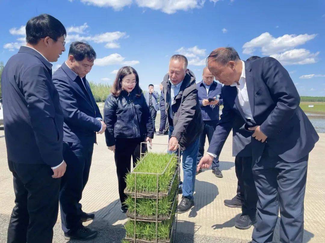 修武光碳富硒大米(富硒大米有用吗)-硒宝网