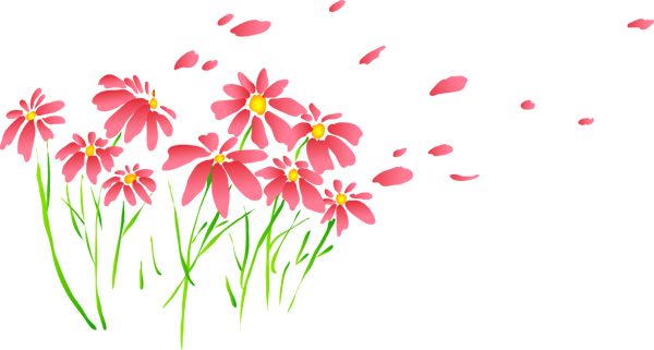 乌兰浩特富硒大米（兴安盟富硒大米）-硒宝网