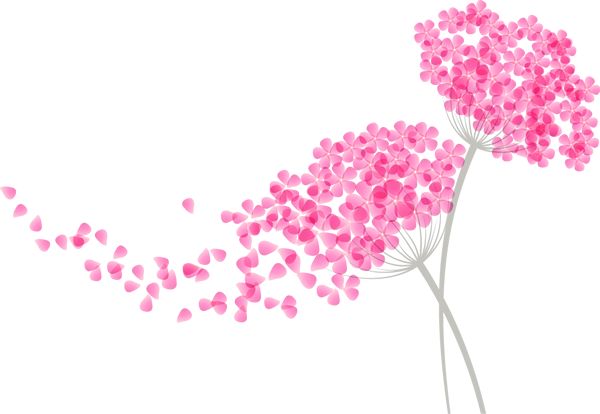 乌兰浩特富硒大米（兴安盟富硒大米）-硒宝网