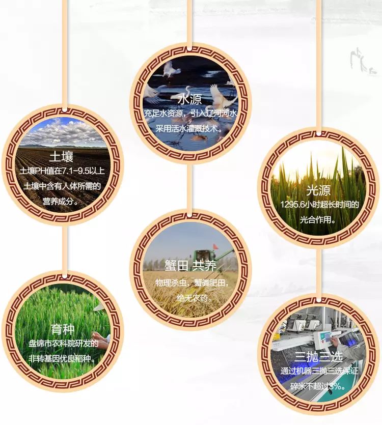 盘锦蟹田富硒大米(正宗盘锦蟹田大米到底多少钱)-硒宝网