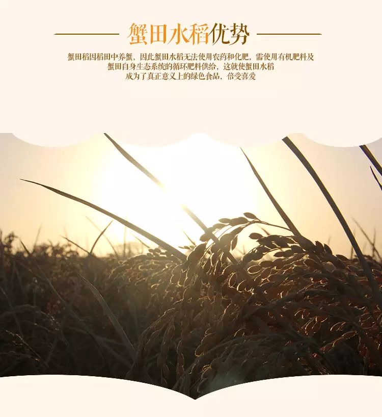 盘锦蟹田富硒大米(正宗盘锦蟹田大米到底多少钱)-硒宝网