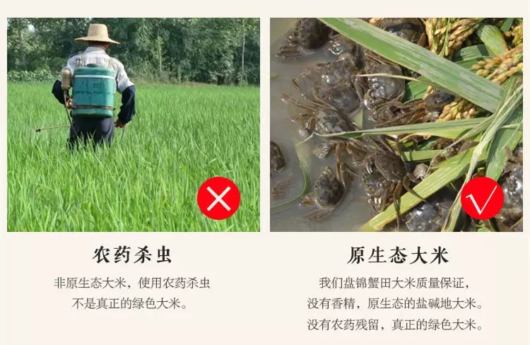 盘锦蟹田富硒大米(正宗盘锦蟹田大米到底多少钱)-硒宝网