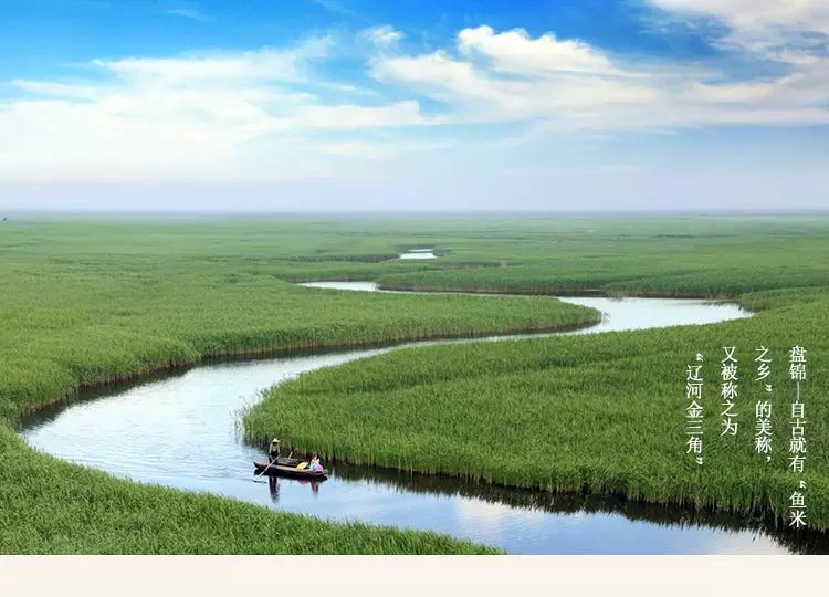 盘锦蟹田富硒大米(正宗盘锦蟹田大米到底多少钱)-硒宝网