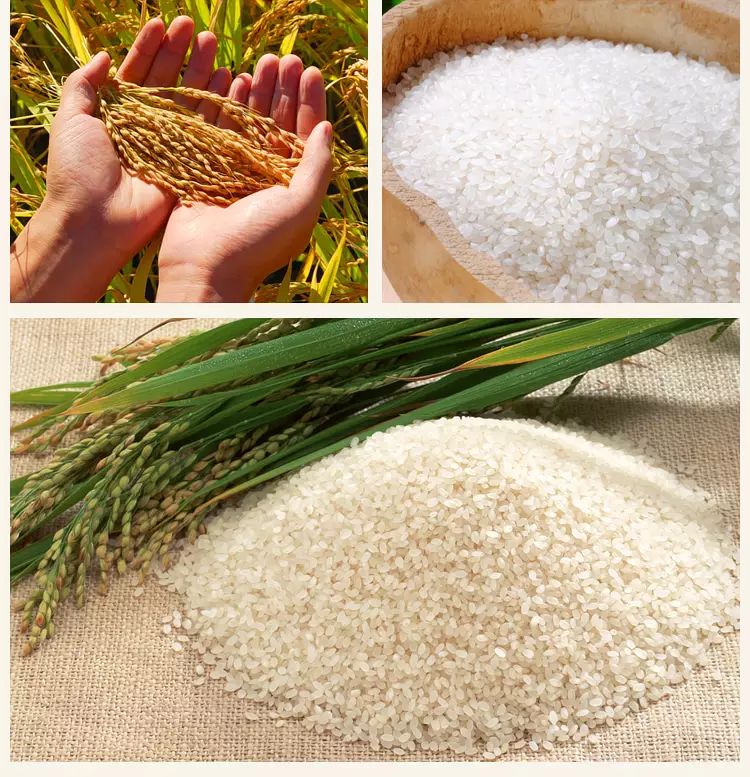 盘锦蟹田富硒大米(正宗盘锦蟹田大米到底多少钱)-硒宝网