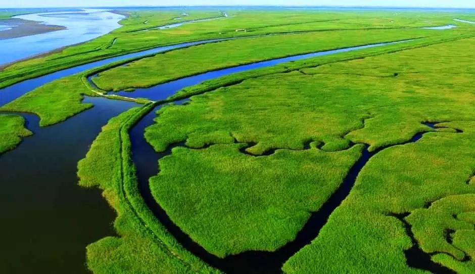盘锦蟹田富硒大米(正宗盘锦蟹田大米到底多少钱)-硒宝网