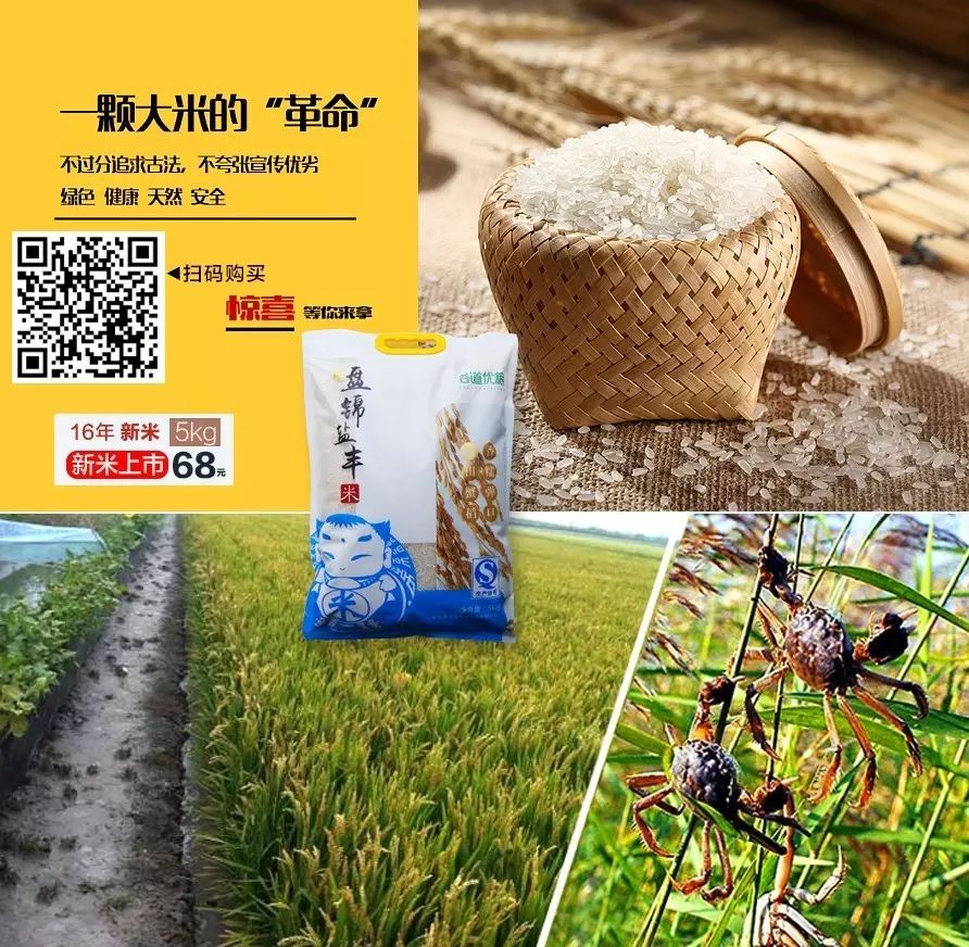 盘锦蟹田富硒大米(盘锦蟹田大米视频)-硒宝网