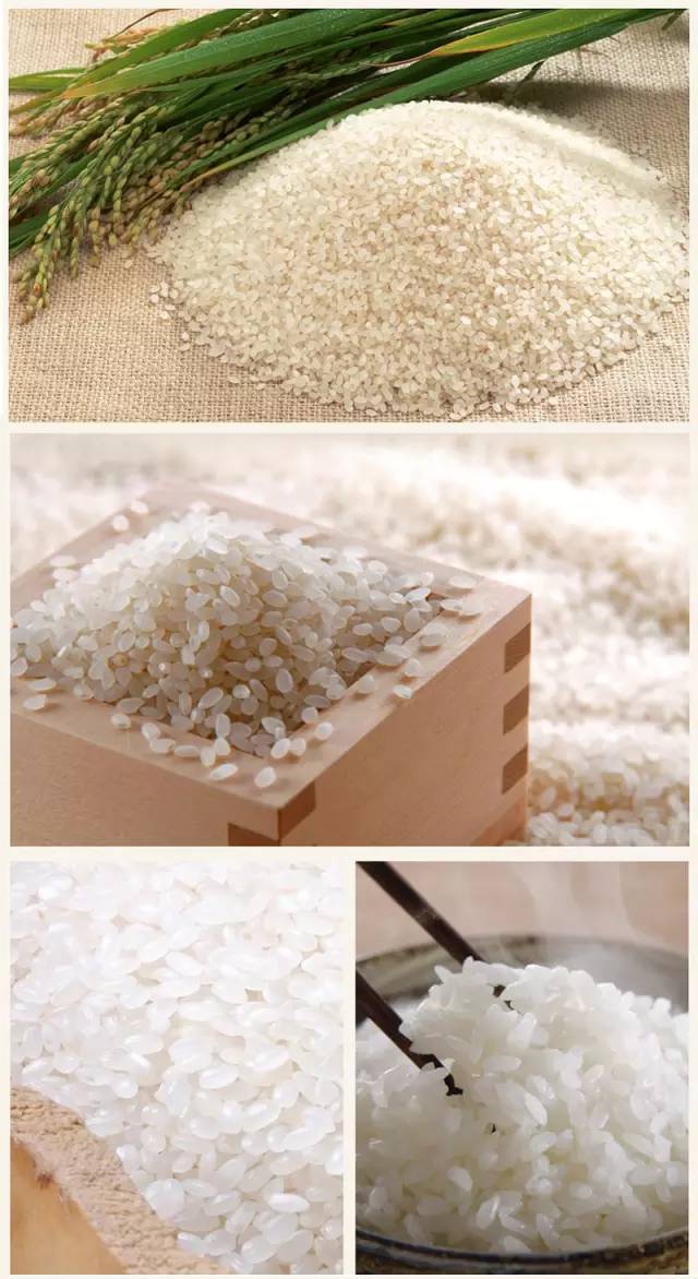 盘锦蟹田富硒大米(盘锦蟹田大米视频)-硒宝网