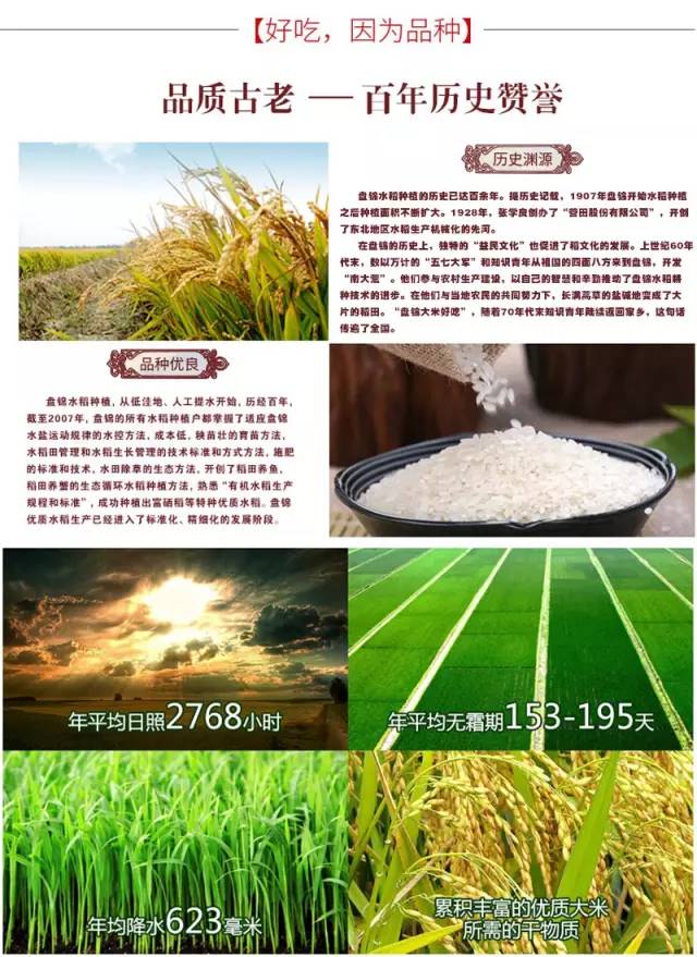 盘锦蟹田富硒大米(盘锦蟹田大米视频)-硒宝网