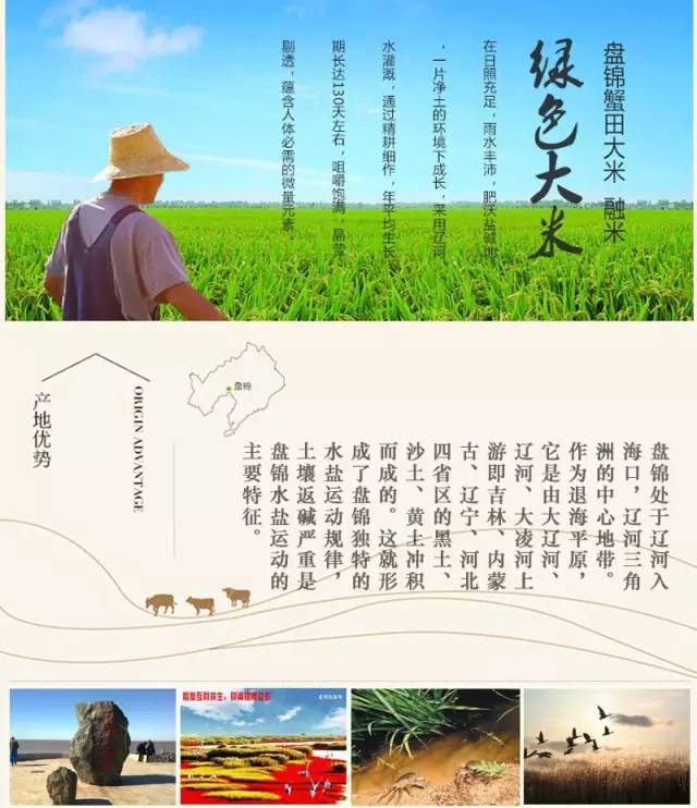 盘锦蟹田富硒大米(盘锦蟹田大米视频)-硒宝网