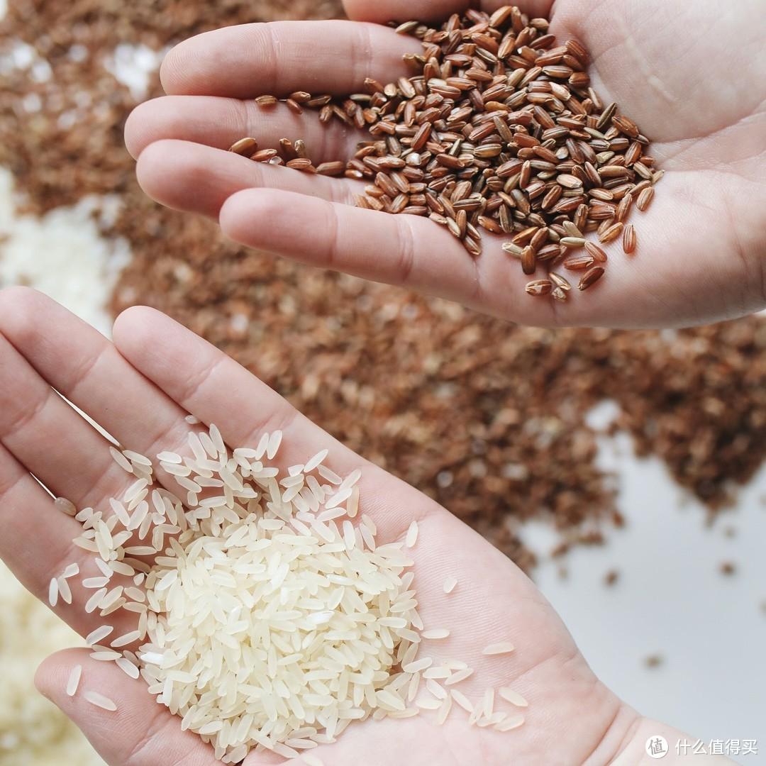 什么叫富硒大米?。ǜ晃竺椎挠衫矗?硒宝网