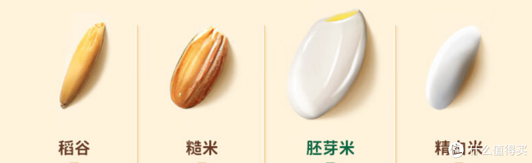 什么叫富硒大米啊（富硒大米的由来）-硒宝网