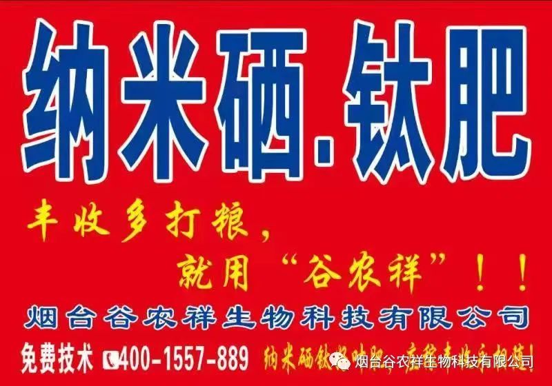 湖北富硒大米价格(大米湖北价格富硒多少钱)-硒宝网