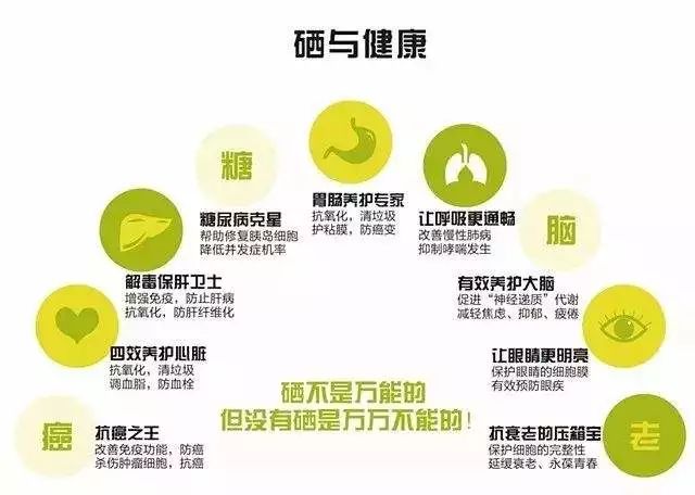 湖北富硒大米价格(大米湖北价格富硒多少钱)-硒宝网