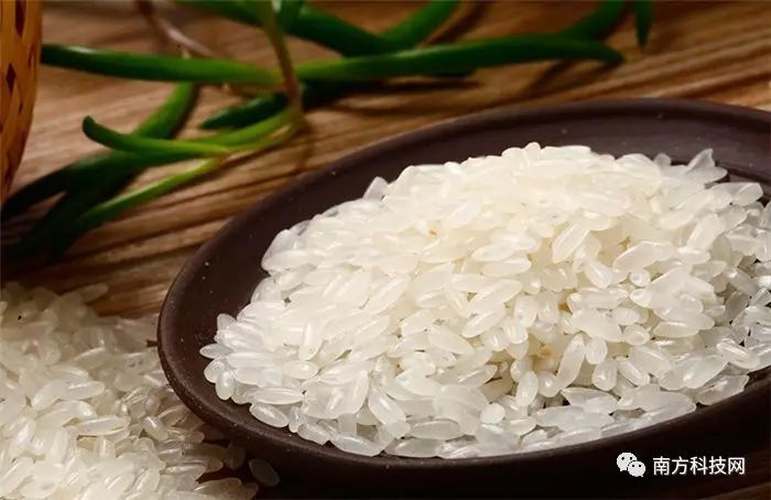 广西上林富硒大米（广西富硒大米价格）-硒宝网