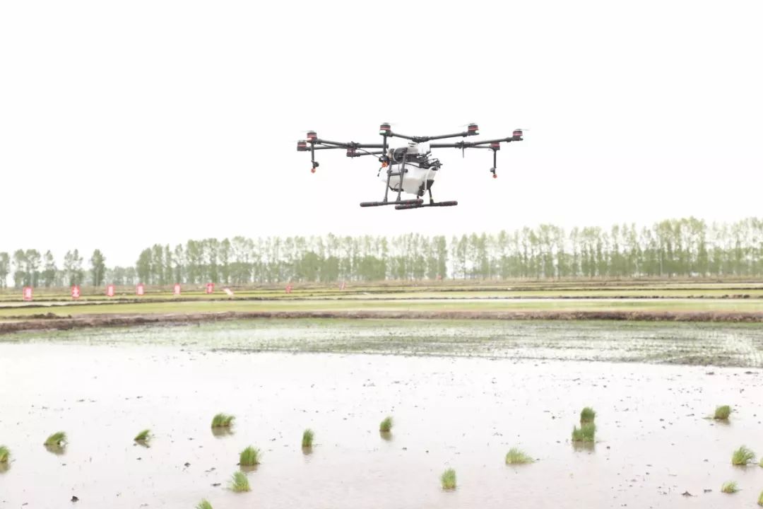 富硒大米合作协议（富硒大米传销）-硒宝网