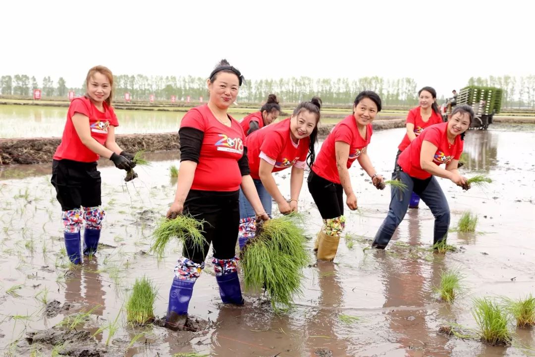 富硒大米合作协议（富硒大米传销）-硒宝网