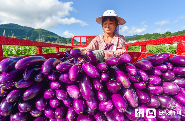 农家蟹田富硒大米(蟹田大米好不好吃)-硒宝网