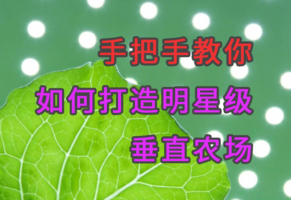 农家蟹田富硒大米(蟹田大米好不好吃)-硒宝网