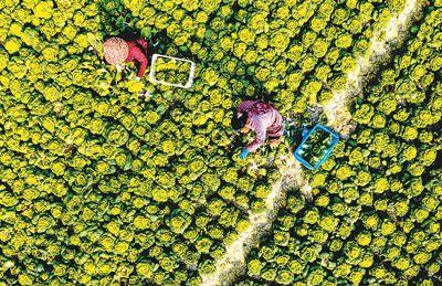 在酒店卖富硒大米（富硒大米贵吗）-硒宝网