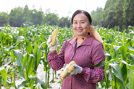 方正田野富硒大米（方正富硒米多少钱一斤）-硒宝网