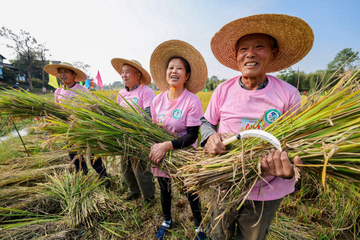 方正田野富硒大米（方正富硒米多少钱一斤）-硒宝网