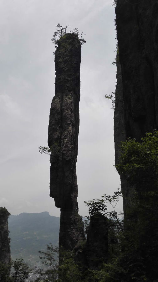 富硒大米是绿色吗（大米绿色富硒是什么东西）-硒宝网