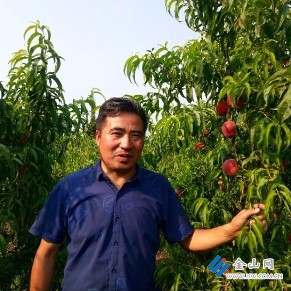 镇江富硒大米价格（镇江大米多少钱一斤）-硒宝网