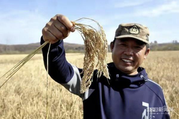 睢宁富硒大米价格(徐州富硒大米)-硒宝网