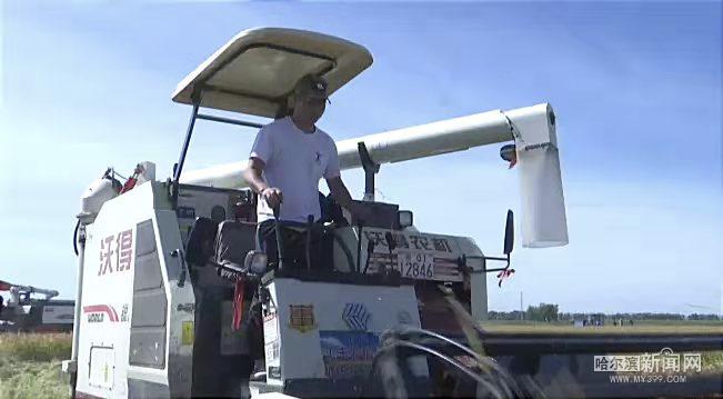 睢宁富硒大米价格(徐州富硒大米)-硒宝网