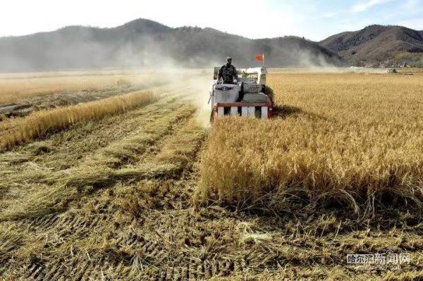 睢宁富硒大米价格(徐州富硒大米)-硒宝网