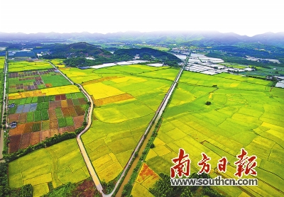 方正田野富硒大米(方正大米含硒)-硒宝网