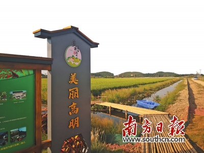 方正田野富硒大米(方正大米含硒)-硒宝网