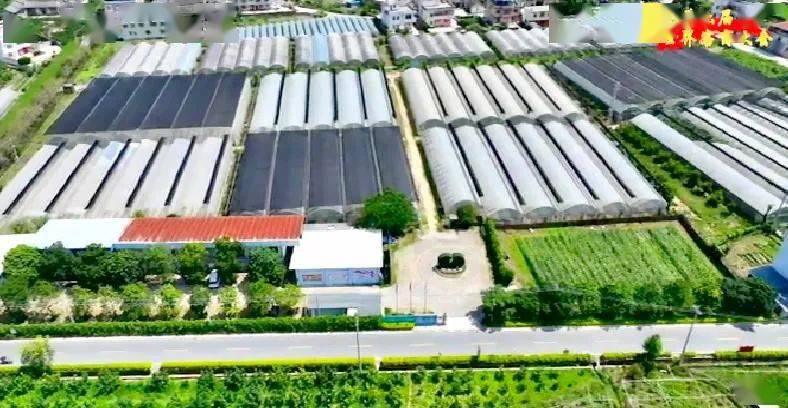 大埔西河富硒大米（富硒大米原产地在哪里）-硒宝网