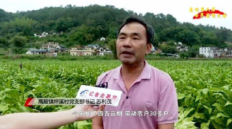 大埔西河富硒大米（富硒大米原产地在哪里）-硒宝网