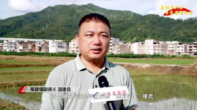 大埔西河富硒大米（富硒大米原产地在哪里）-硒宝网