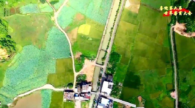 大埔西河富硒大米（富硒大米原产地在哪里）-硒宝网