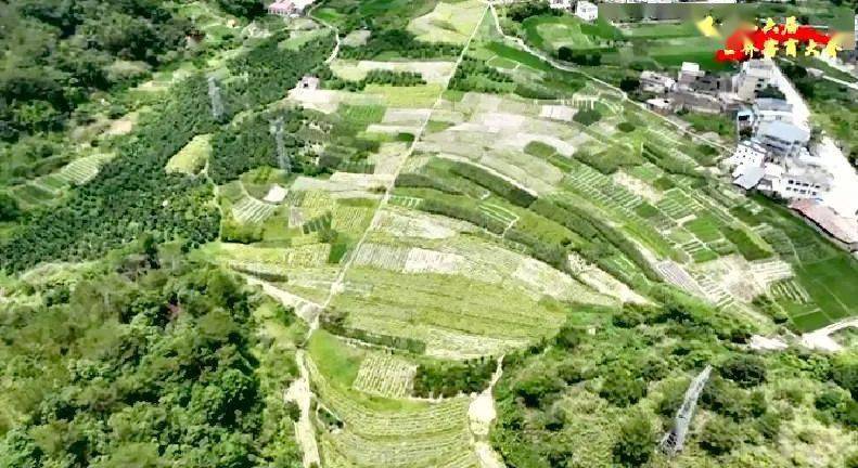 大埔西河富硒大米（富硒大米原产地在哪里）-硒宝网